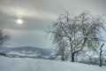 Winter 28.12.2010_18